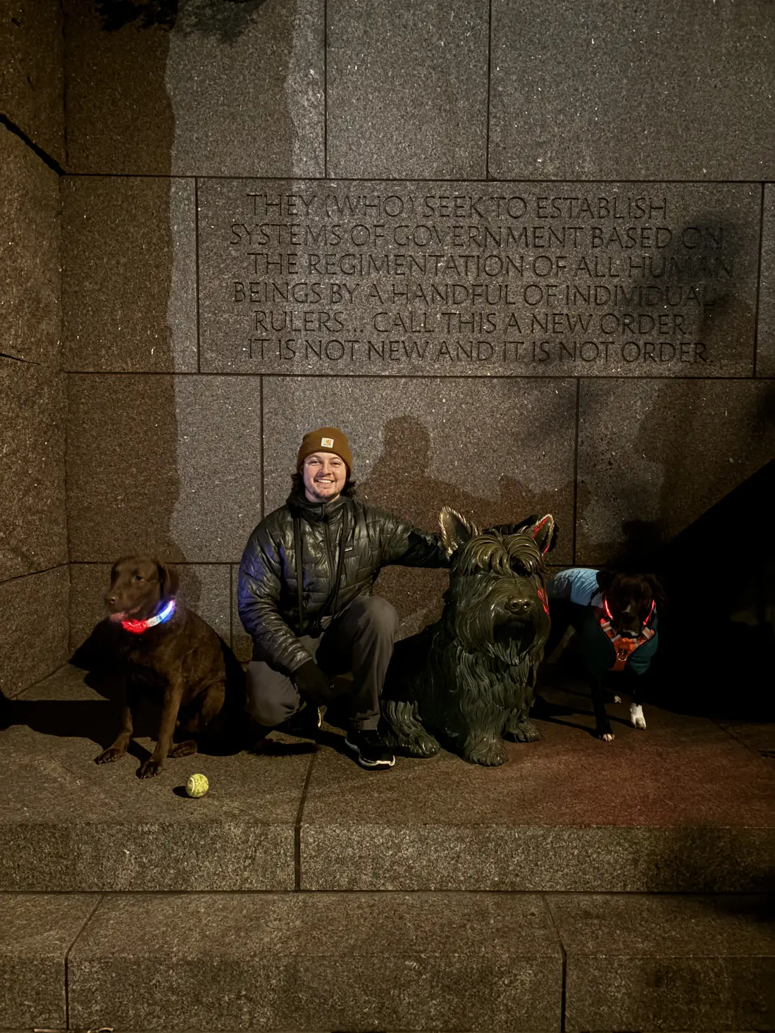 The dogs in Washington at night